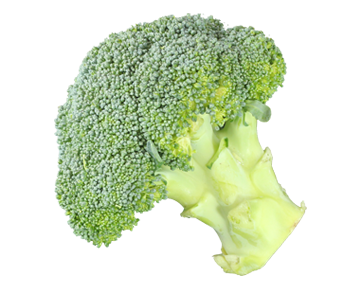 Broccoli & Hybrids