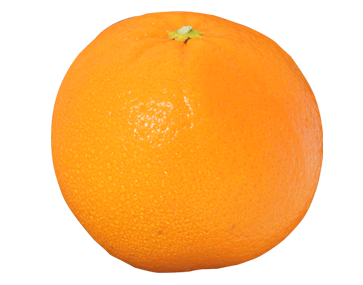 Citrus Hybrids (Tangelo..)