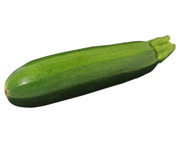 squash-and-zucchini