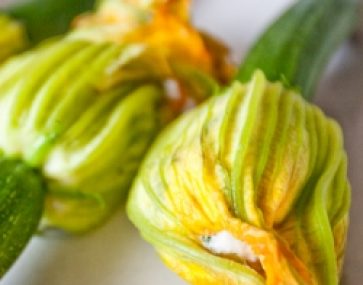 Zucchini Flowers with Chevre and Chives